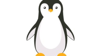 Drawing:W1epl5fltma= Penguin