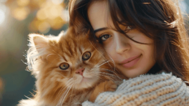 Girl:Y7of1h5xtd4= Cats