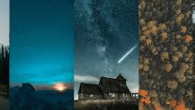 Iphone:8gzzp6lra8q= Wallpaper