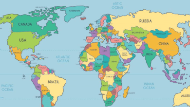 Labeled:C82cftah2ny= World Map