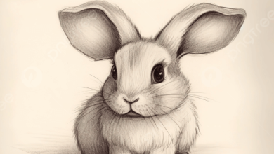 Pencil:V04hso9zvvq= Drawings