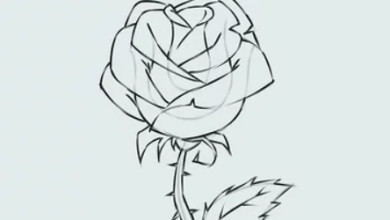 Drawing:3bi7an14v9o= Flower