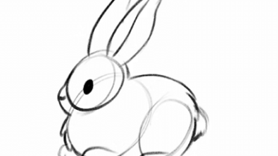 Drawing:B21atcyd5q4= Bunny