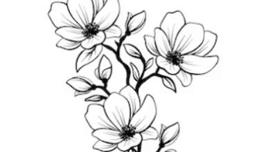 Drawing:Jpqeilqq8qm= Flower