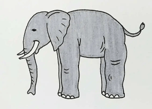Drawing:K4ihdmzbtqg= Elephants