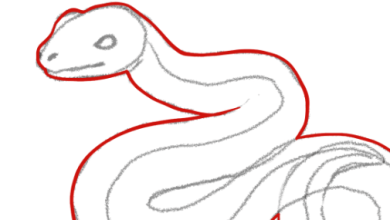 Drawing:R5bukvkyip8= Snake