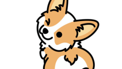 Drawing:Vtjiggrkmpc= Corgi