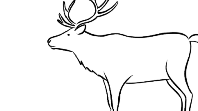 Drawing:Ytih5b0czka= Raindeer
