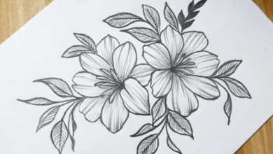 Flower:3bi7an14v9o= Drawing