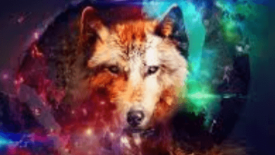 Galaxy:Og4alzgmvog= Wolfs