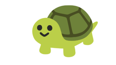 Google Turtle
