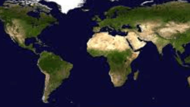 High Quality:Z6nznuvcgok= World Map