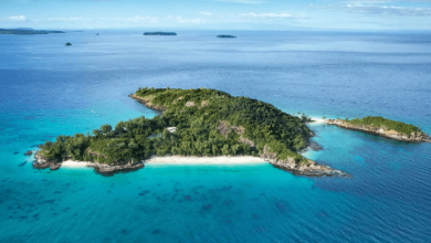 Island:Ctaxkhkxfjg= Madagascar