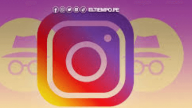 Insta Anonimo