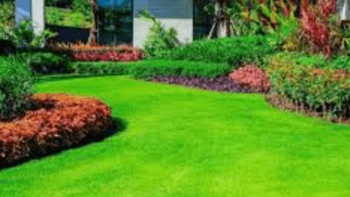 Gardenedgingexpert.Com/Blog