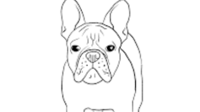 Drawing:Iek1gnzs5p4= Dog