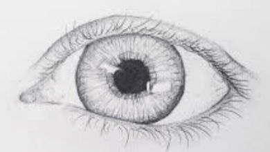 Easy:7nbbaotekl8= Drawings