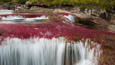 Beautiful:69kgmxgdows= River