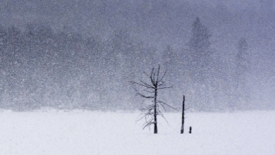 Falling:W7k2ehma-Zo= Snow