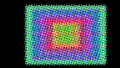 Animated:Wkyidcuim8w= Moving Wallpapers Gif