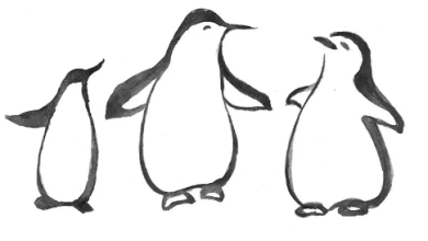 Clipart:Eq5wrhpcrpk= Penguin