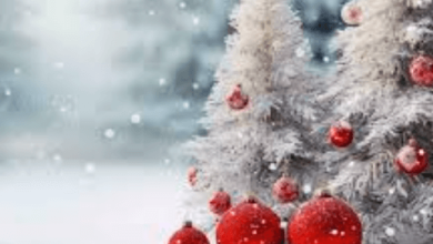Beautiful:Jrsvfze8q5y= Christmas