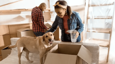 Moving with Pets: How to Keep Your Furry Friends Comfortable