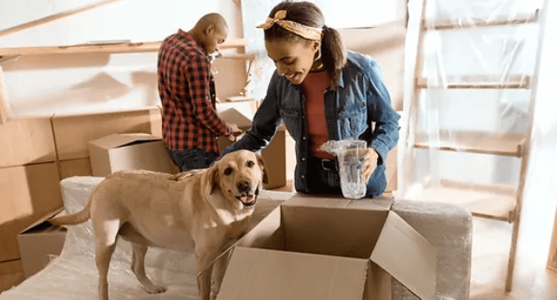 Moving with Pets: How to Keep Your Furry Friends Comfortable