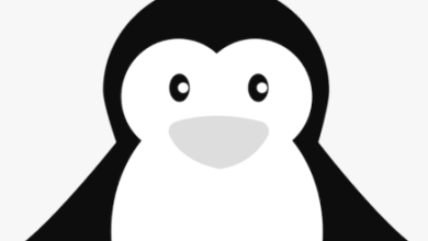 Clipart:Jekijno3fei= Penguins