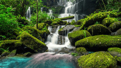 Waterfall:H7todmdvpl0= Rainforest