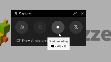 Screen Recorder for Windows 10