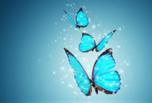 Wallpaper:Acpdg-1s3ts= Butterfly Background