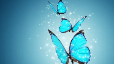 Wallpaper:Acpdg-1s3ts= Butterfly Background