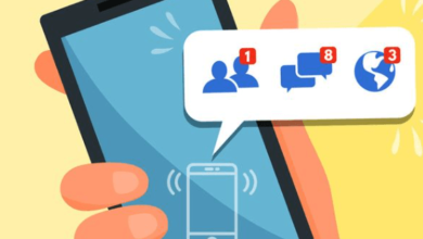 Temporary Phone Number