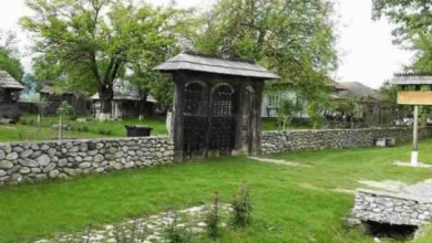 Brancusi Homeland Highlights Private Tour From Bucharest
