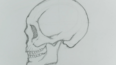 Sketch:Oldj_7nsvxk= Skull Drawing