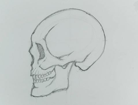 Sketch:Oldj_7nsvxk= Skull Drawing