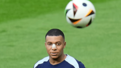 Where to Watch Netherlands National Football Team Vs France National Football Team