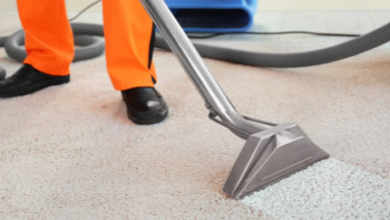 Fantastic carpet cleaning services in Tauranga