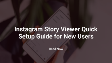 Instagram Story Viewer