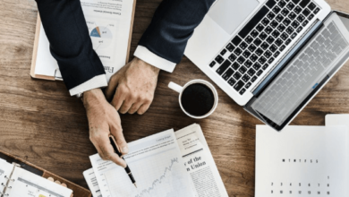 Offshore Company Establishment in 2024: The Cheapest Offers