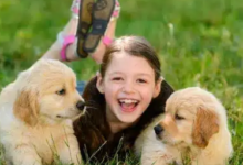 Puppy:Iuuiiqqqwao= Dogs