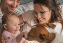 Baby:91jr2ozelcq= Puppy