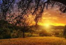 Aesthetic:Cthjqhfmsqe= Wallpapers