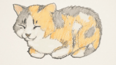 Drawing:Vpier3s64be= Cat