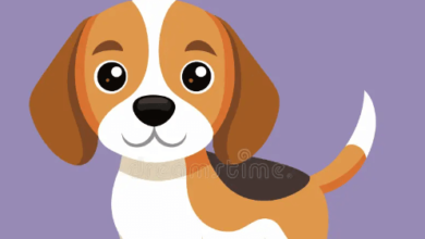Clipart:6flsthamxjw= Dog