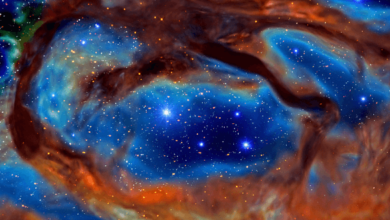 Dragon:K9p5exl1sa8= Nebulae