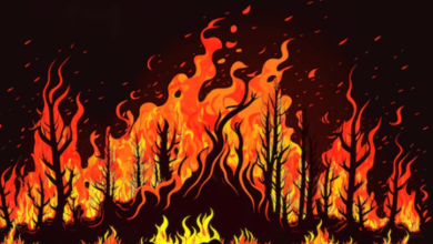 Drawing:Ir6gbg1cz8w= Flames