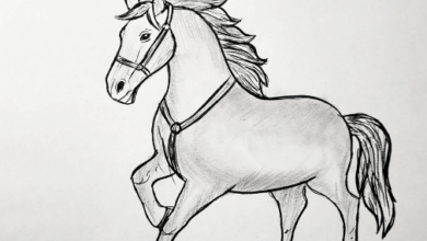 Drawing:Ljd413jlg70= Horse