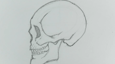Drawing:Oldj_7nsvxk= Skulls